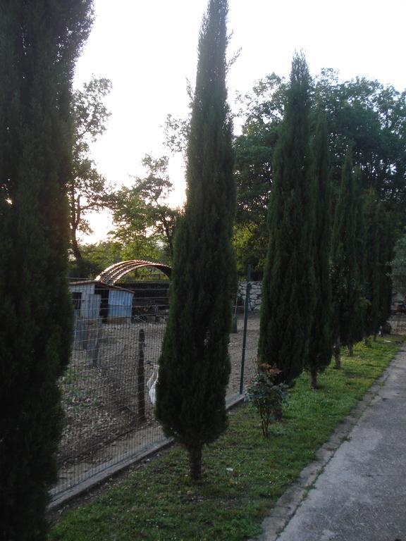 סן דונטו ואל די קומינו Agriturismo La Fattoria מראה חיצוני תמונה