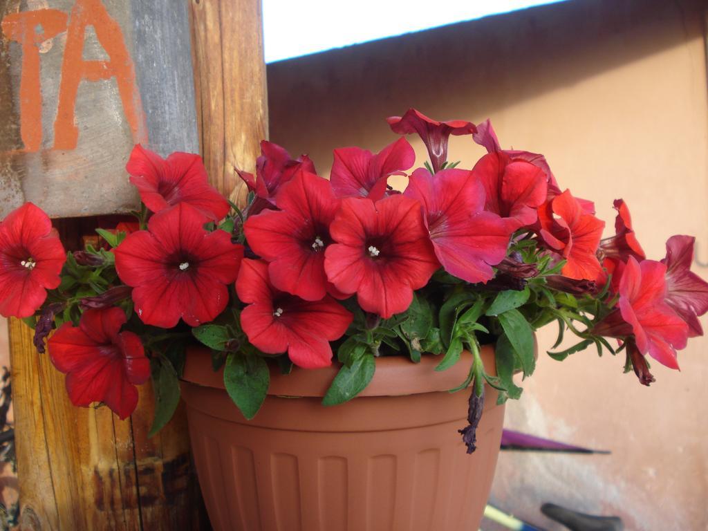 סן דונטו ואל די קומינו Agriturismo La Fattoria מראה חיצוני תמונה