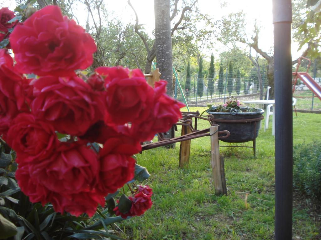סן דונטו ואל די קומינו Agriturismo La Fattoria מראה חיצוני תמונה